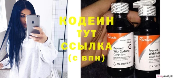 индика Белокуриха