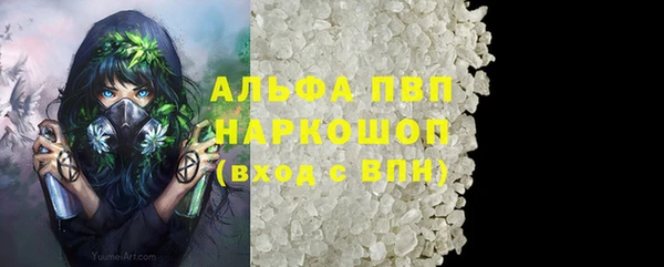 индика Белокуриха