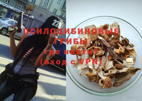 мескалин Богданович