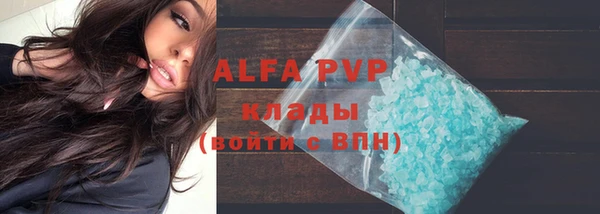 мескалин Богданович