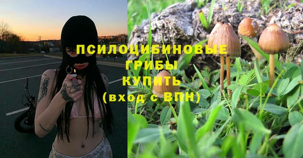 мескалин Богданович