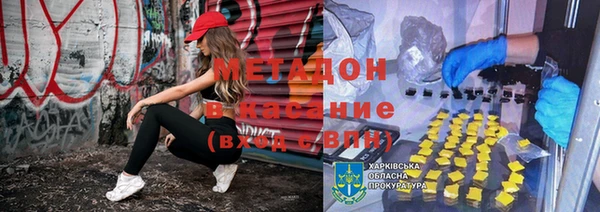 индика Белокуриха