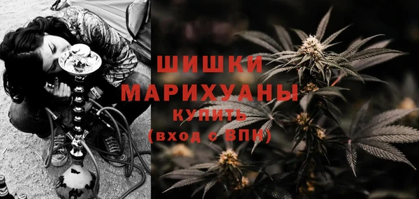 спиды Богородск