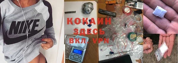 мескалин Богданович