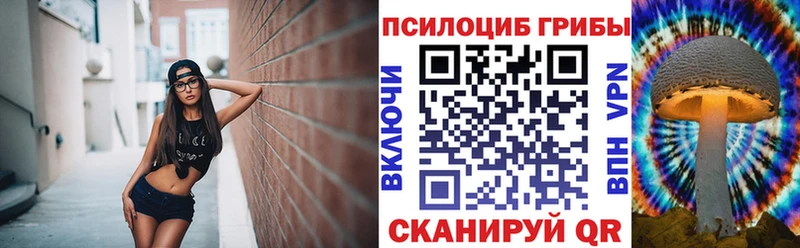 Галлюциногенные грибы Psilocybe Дятьково