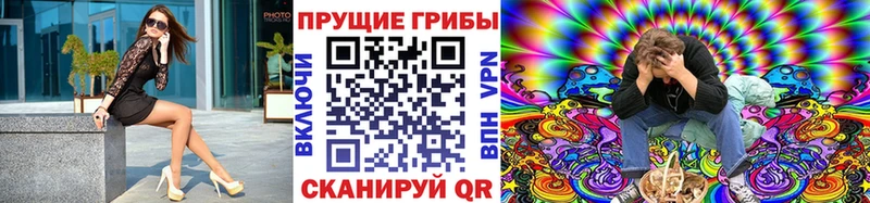 Галлюциногенные грибы Magic Shrooms  Дятьково 